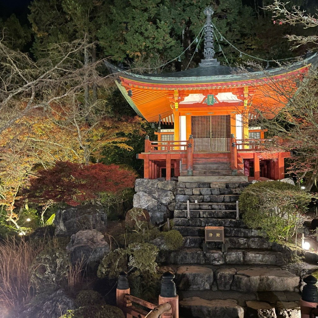 実際訪問したユーザーが直接撮影して投稿した醍醐東大路町寺醍醐寺の写真