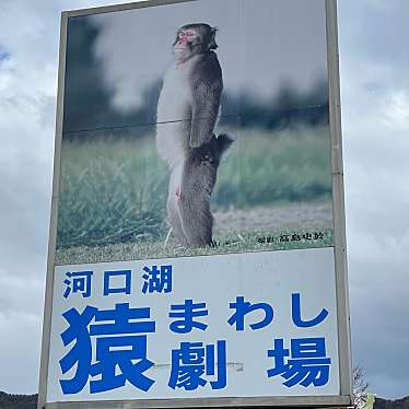 実際訪問したユーザーが直接撮影して投稿した河口公演 / 演劇・演芸河口湖猿まわし劇場の写真