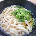 かけうどん - 実際訪問したユーザーが直接撮影して投稿した早尾うどんおても庵 宮原サービスエリア下り店の写真のメニュー情報