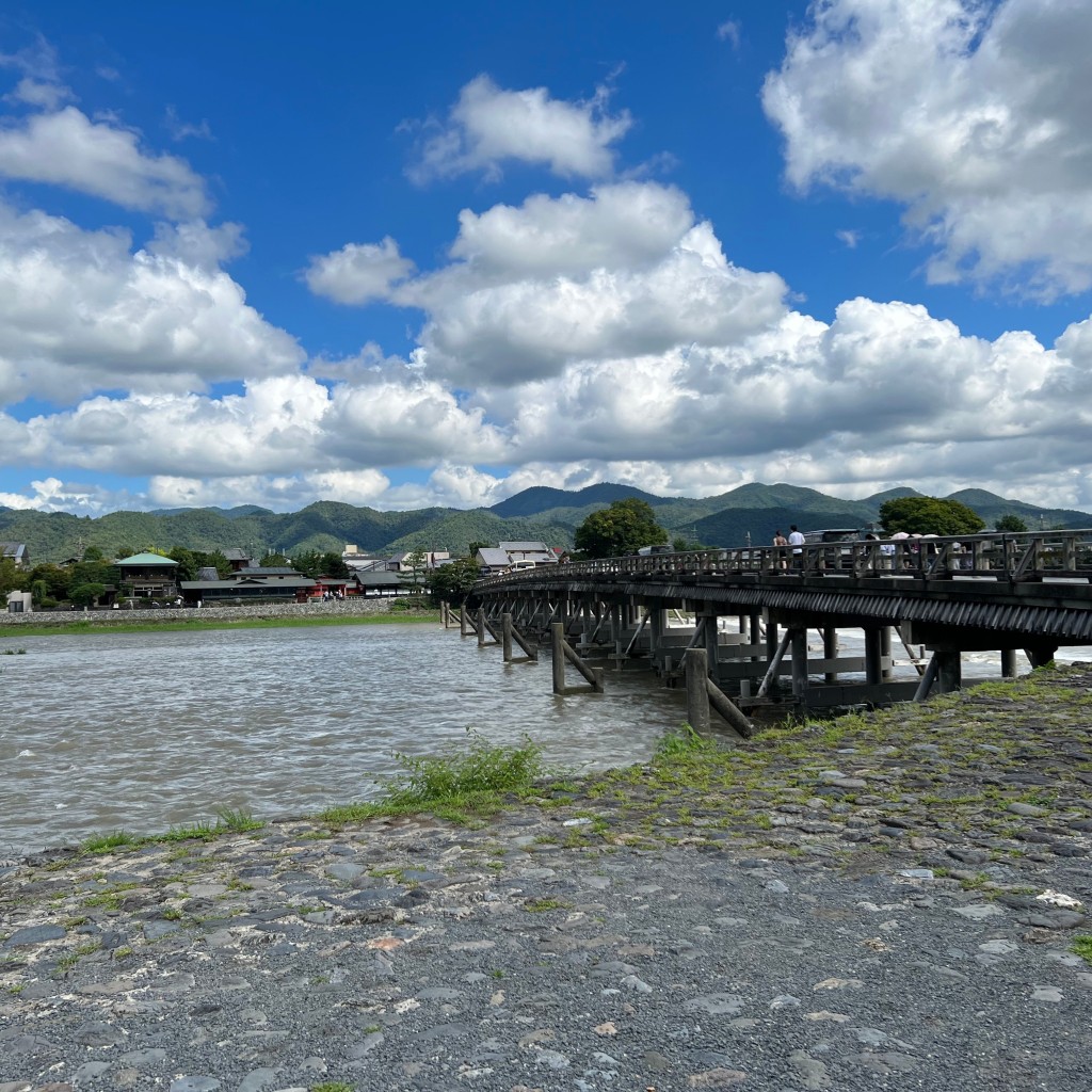 実際訪問したユーザーが直接撮影して投稿した嵯峨中ノ島町公衆トイレ嵐山公園中ノ島地区西トイレの写真