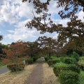 実際訪問したユーザーが直接撮影して投稿した多磨町公園武蔵野公園の写真