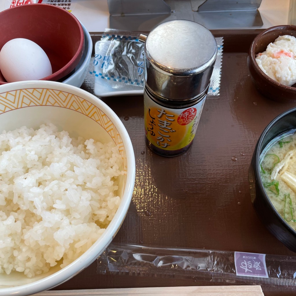 ユーザーが投稿したたまかけ朝食の写真 - 実際訪問したユーザーが直接撮影して投稿した新天地牛丼すき家 広島新天地店の写真