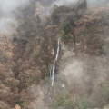 実際訪問したユーザーが直接撮影して投稿した田野橋九重 夢 大吊橋の写真