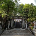 実際訪問したユーザーが直接撮影して投稿した師岡町神社師岡熊野神社の写真