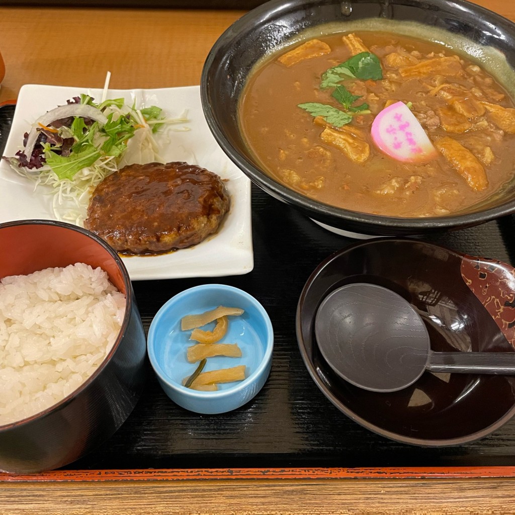 ユーザーが投稿したカレーハンバーグ定食の写真 - 実際訪問したユーザーが直接撮影して投稿した泉うどん本家さぬきや 住之江店の写真