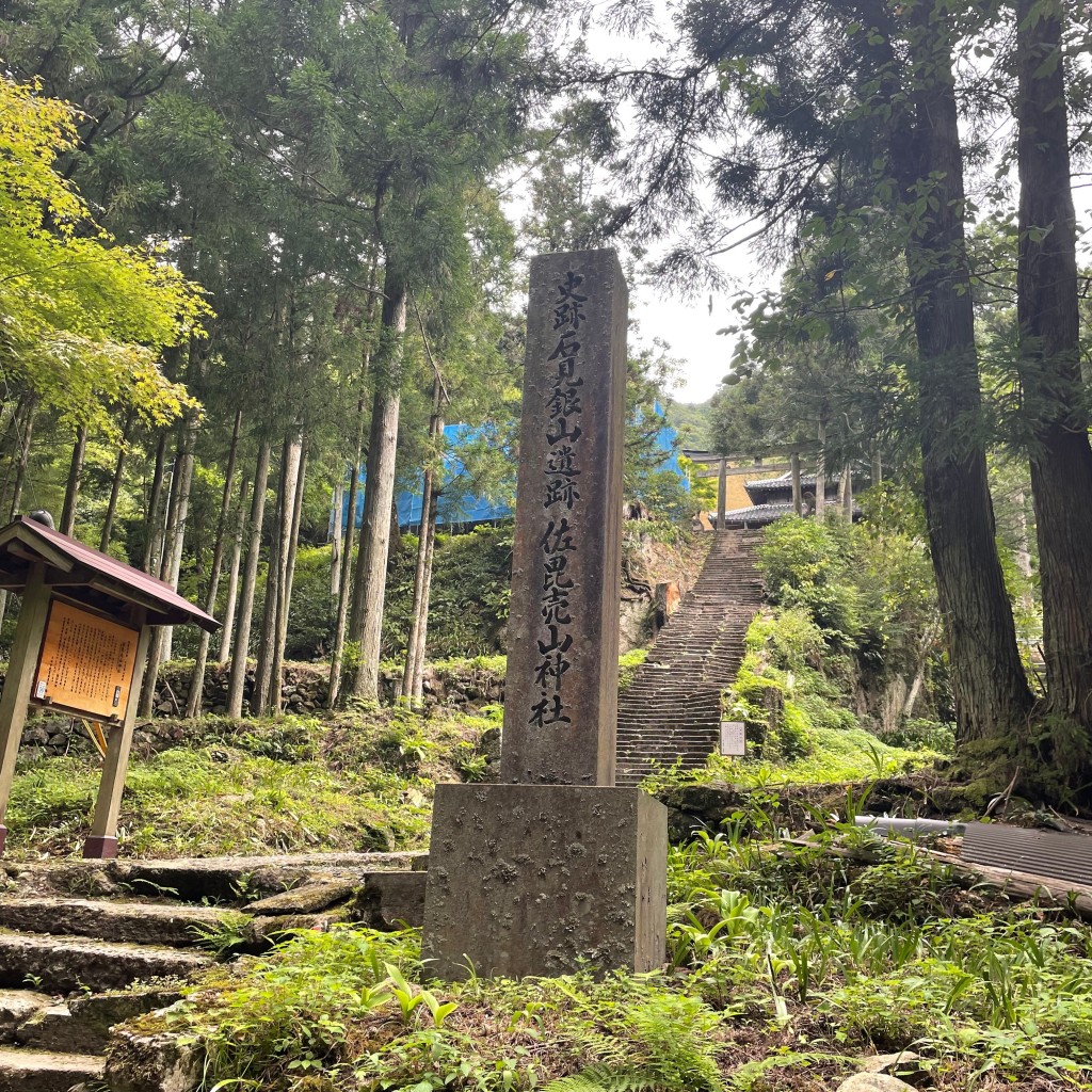 実際訪問したユーザーが直接撮影して投稿した大森町神社佐毘売山神社の写真