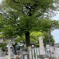 実際訪問したユーザーが直接撮影して投稿した北新町神社布忍神社の写真