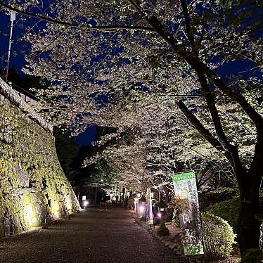 武雄神社のundefinedに実際訪問訪問したユーザーunknownさんが新しく投稿した新着口コミの写真