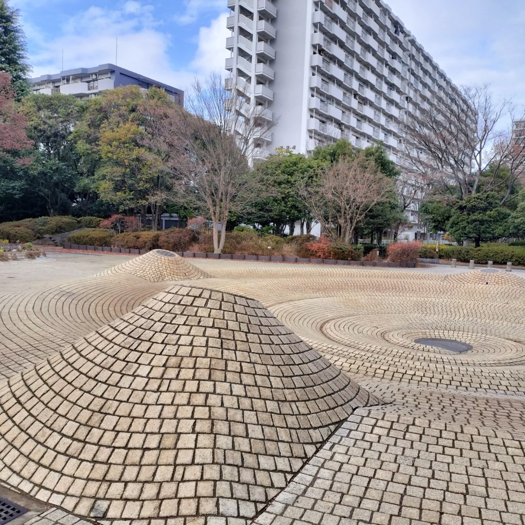 実際訪問したユーザーが直接撮影して投稿した光が丘湖沼 / 池夏の雲公園 ジャブジャブ池の写真