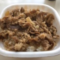 牛丼並弁当 - 実際訪問したユーザーが直接撮影して投稿した東上野牛丼すき家 新御徒町店の写真のメニュー情報