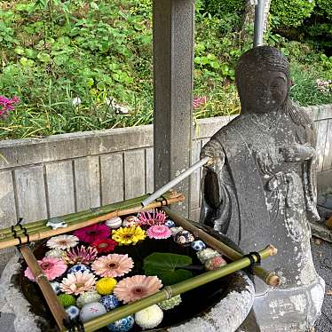 実際訪問したユーザーが直接撮影して投稿した高城町神社高城神社の写真