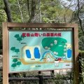 実際訪問したユーザーが直接撮影して投稿した祇園町公園武田山憩の森の写真