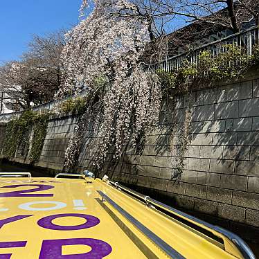 実際訪問したユーザーが直接撮影して投稿した西五反田フェリー / 客船五反田リバーステーションの写真