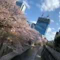 実際訪問したユーザーが直接撮影して投稿した河川神田川の写真