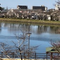 実際訪問したユーザーが直接撮影して投稿した滝の宮町公園滝の宮公園の写真