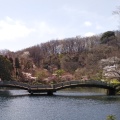 実際訪問したユーザーが直接撮影して投稿した野津田町公園薬師池公園の写真