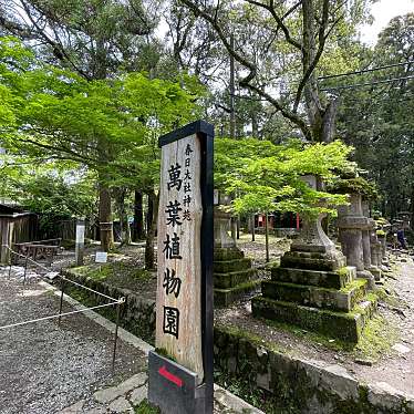 実際訪問したユーザーが直接撮影して投稿した春日野町植物園 / 樹木園春日大社 萬葉植物園の写真