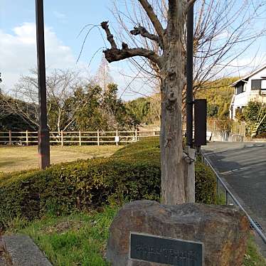 実際訪問したユーザーが直接撮影して投稿した桜が丘公園桜ヶ丘4北公園の写真