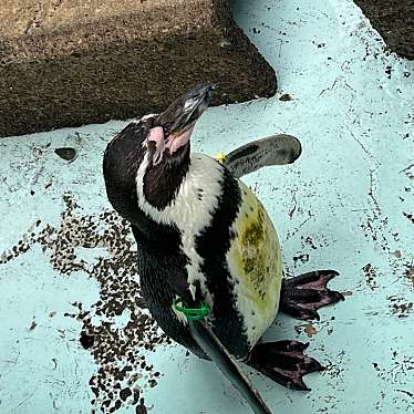 宇都宮動物園のundefinedに実際訪問訪問したユーザーunknownさんが新しく投稿した新着口コミの写真