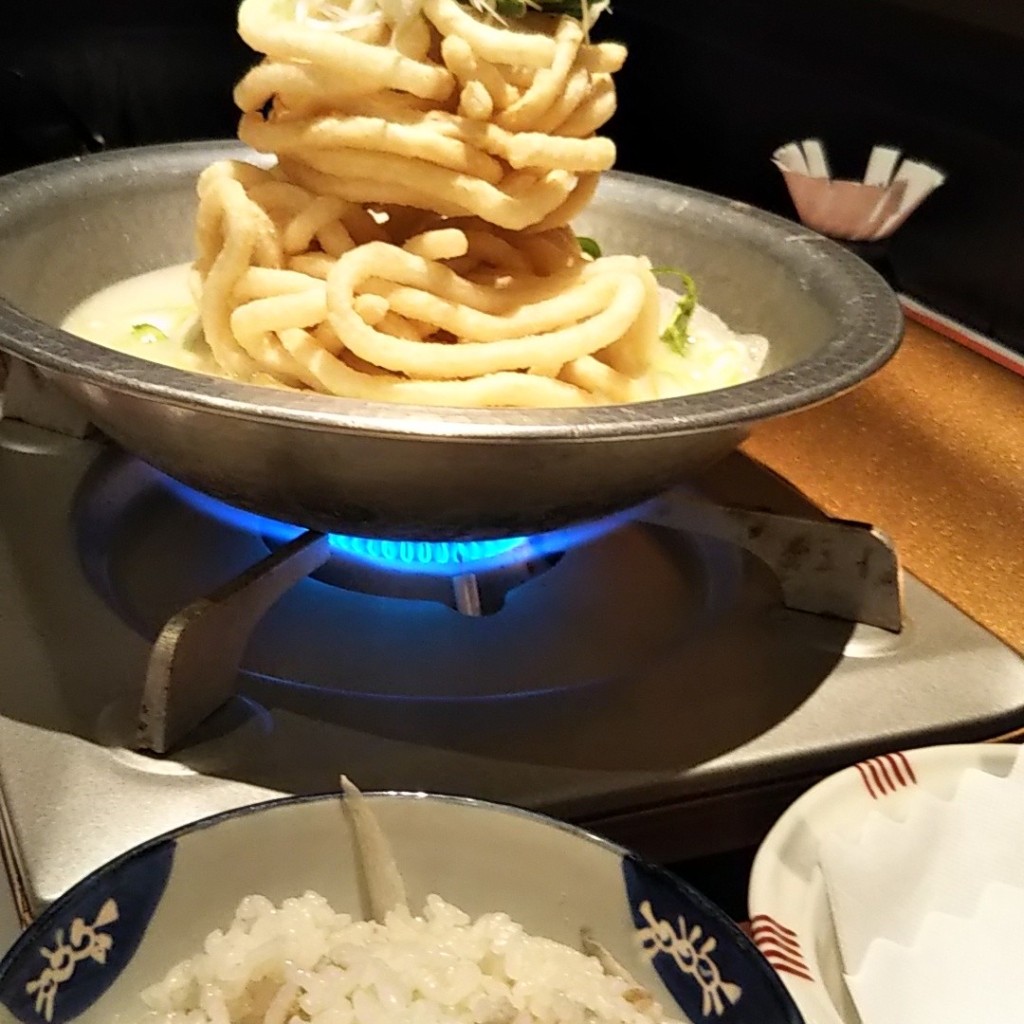 ユーザーが投稿したあげうどんの写真 - 実際訪問したユーザーが直接撮影して投稿した舞鶴郷土料理博多水炊き あうんの写真