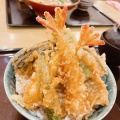 天丼 - 実際訪問したユーザーが直接撮影して投稿した桜木町和食 / 日本料理北海道生まれ 和食処とんでん 大宮桜木町店の写真のメニュー情報