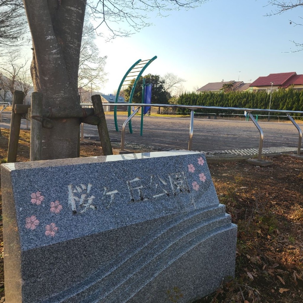 実際訪問したユーザーが直接撮影して投稿した桜ケ丘公園桜ヶ丘公園の写真