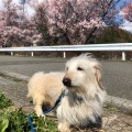 実際訪問したユーザーが直接撮影して投稿した公園目切公園の写真