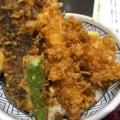 [C] 野菜上天丼 - 実際訪問したユーザーが直接撮影して投稿した山室天ぷら日本橋 天丼 金子半之助 ららぽーと富士見店の写真のメニュー情報