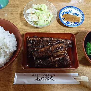 実際訪問したユーザーが直接撮影して投稿したうなぎ山口うなぎ屋の写真