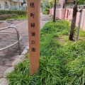 実際訪問したユーザーが直接撮影して投稿した桃町公園桃町緑道公園の写真