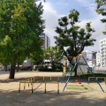 実際訪問したユーザーが直接撮影して投稿した九条南公園九条公園の写真