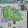 実際訪問したユーザーが直接撮影して投稿した新井公園平和の森公園の写真