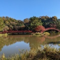 実際訪問したユーザーが直接撮影して投稿した金沢町寺金沢山 称名寺の写真