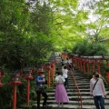 実際訪問したユーザーが直接撮影して投稿した真鶴神社貴船神社の写真