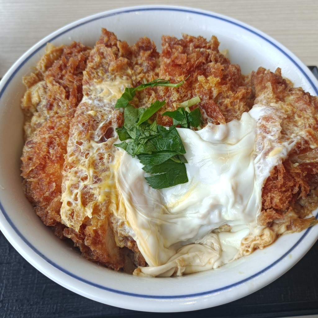 食いしん坊な猫さんが投稿した鮎川町とんかつのお店かつや 日立鮎川店/カツヤ ヒタチアユカワテンの写真