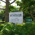 実際訪問したユーザーが直接撮影して投稿した安行出羽公園安行中道北公園の写真