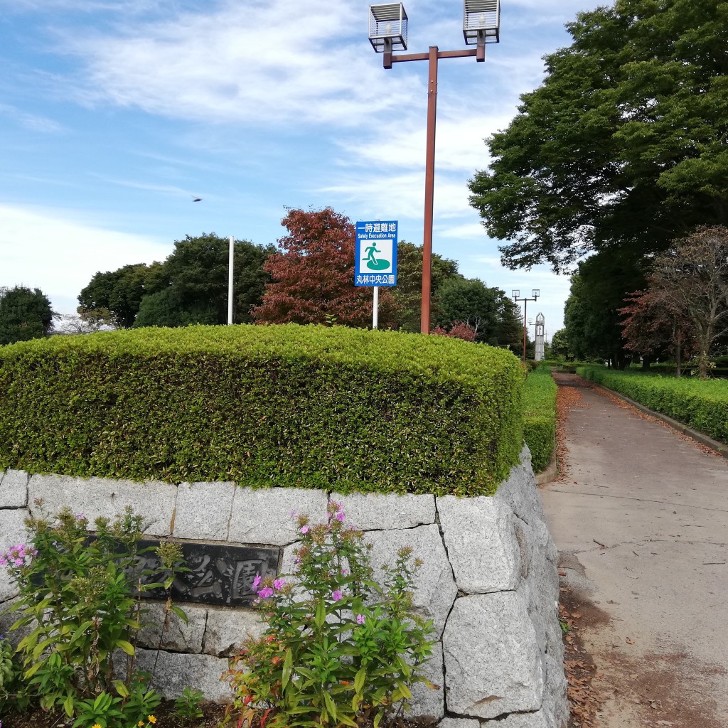 実際訪問したユーザーが直接撮影して投稿した公園丸林中央公園の写真