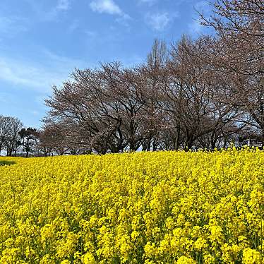 上堰潟公園のundefinedに実際訪問訪問したユーザーunknownさんが新しく投稿した新着口コミの写真