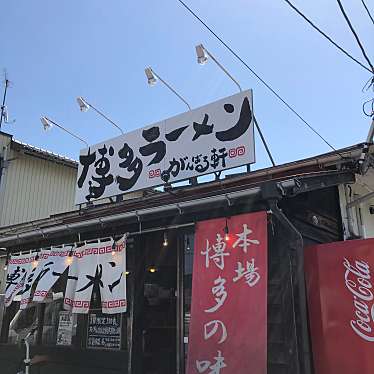 実際訪問したユーザーが直接撮影して投稿した泉本町ラーメン / つけ麺がんばる軒の写真