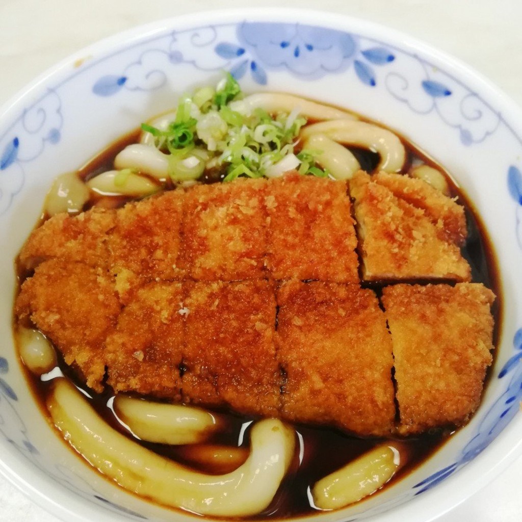 ユーザーが投稿した伊勢うどん カツ乗せの写真 - 実際訪問したユーザーが直接撮影して投稿した中村町うどんつきよみ食堂の写真