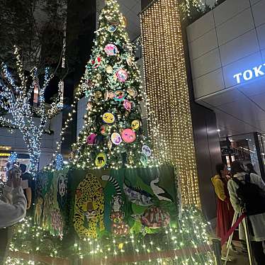 実際訪問したユーザーが直接撮影して投稿した京橋庭園東京スクエアガーデン庭園の写真