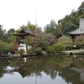 実際訪問したユーザーが直接撮影して投稿した柳本町寺長岳寺の写真