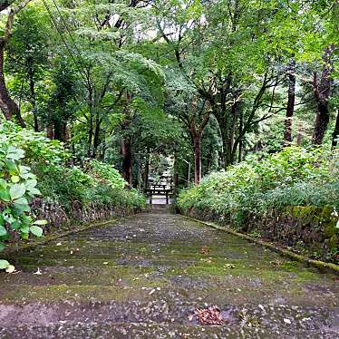 YST10さんが投稿した松木神社のお店宝八幡宮/タカラハチマングウの写真