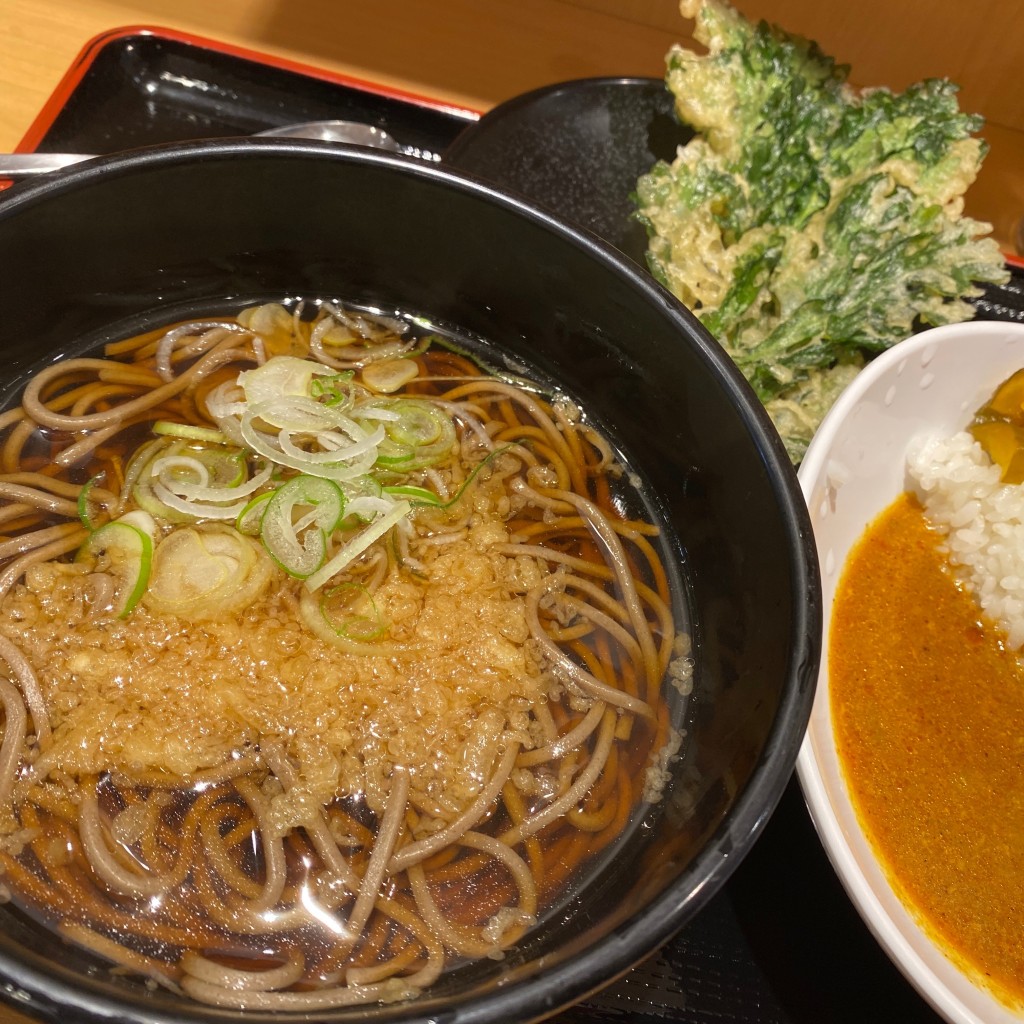 ユーザーが投稿した半よもだカレー🍛🥄半たぬきセット🍜🥢&春菊天の写真 - 実際訪問したユーザーが直接撮影して投稿した西新宿そばよもだそば 新宿西口店の写真