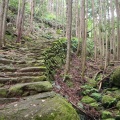 実際訪問したユーザーが直接撮影して投稿した木本町山 / 峠松本峠の写真