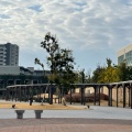 実際訪問したユーザーが直接撮影して投稿した柱町公園出会いの杜公園の写真