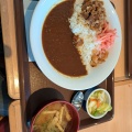 牛カレー - 実際訪問したユーザーが直接撮影して投稿した外箕輪牛丼すき家 君津外箕輪店の写真のメニュー情報