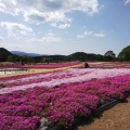 実際訪問したユーザーが直接撮影して投稿した高原せら高原の写真