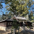 実際訪問したユーザーが直接撮影して投稿した膳所神社膳所神社の写真