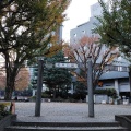 実際訪問したユーザーが直接撮影して投稿した西新宿公園柏木公園の写真